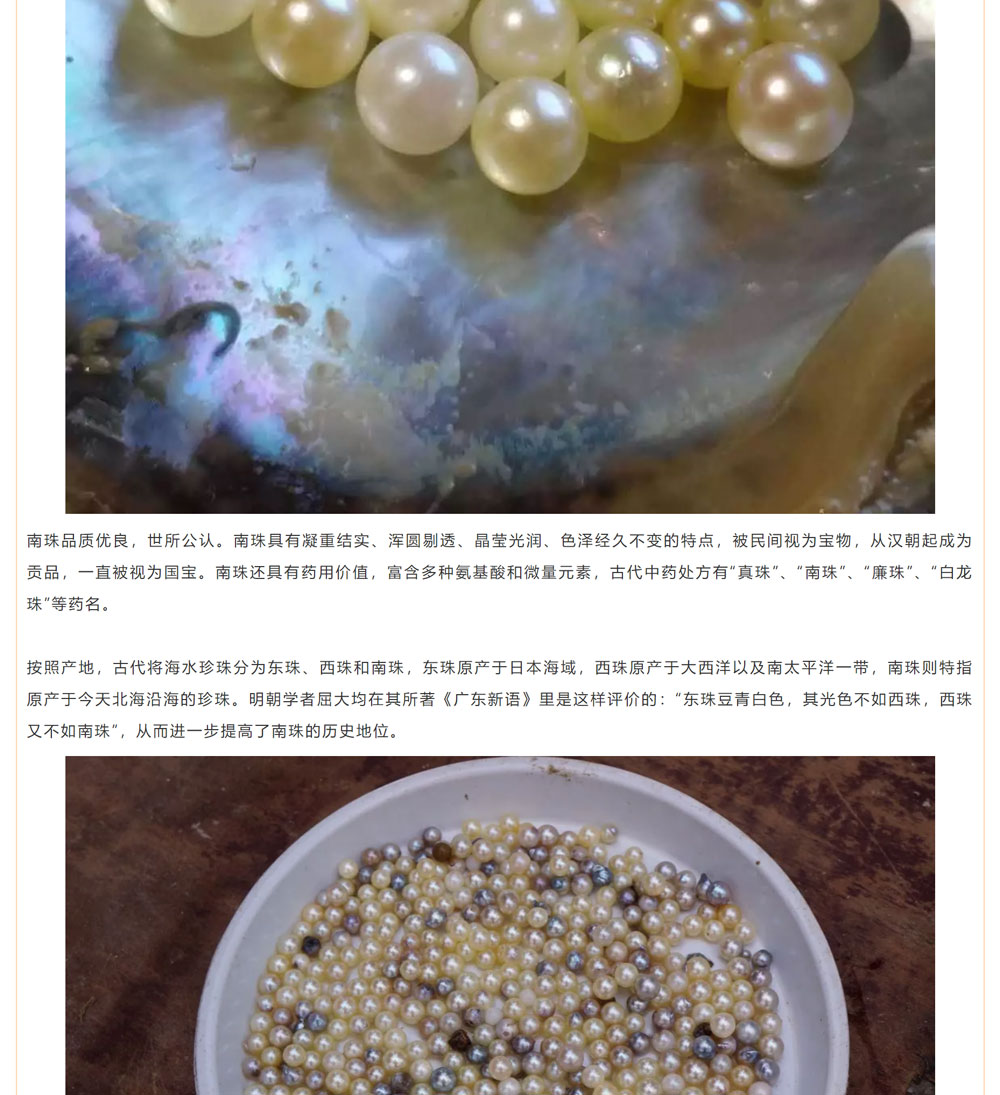 古老南珠，绽放异彩